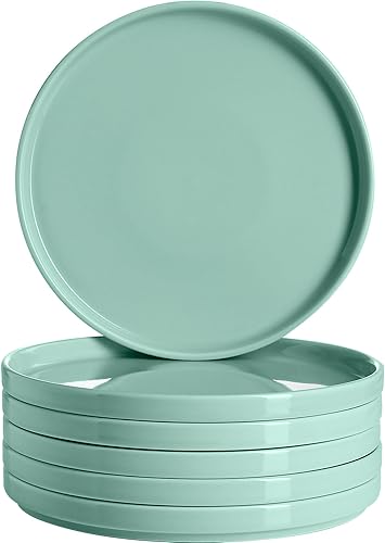 Onniyor Juego de platos llanos de porcelana, platos redondos para ensalada de postre, platos para servir de 10 pulgadas, platos planos resistentes a