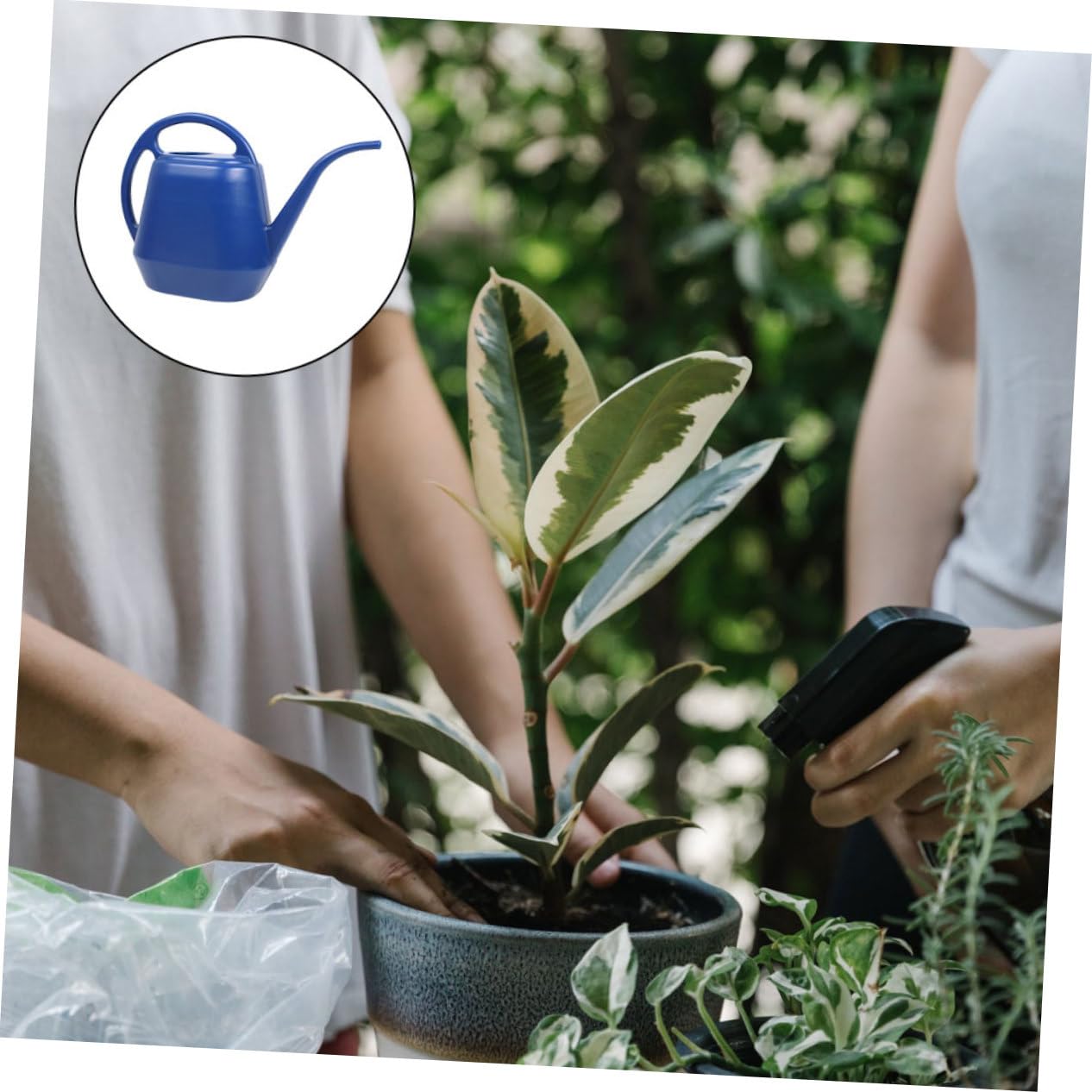 TOYANDONA 2 Piezas Regadera de Jardín de Gran Capacidad Color Azul Oscuro para Riego de Plantas y Suculentas Diseño de para Difíciles Útil Jardinería Interior y Exterior
