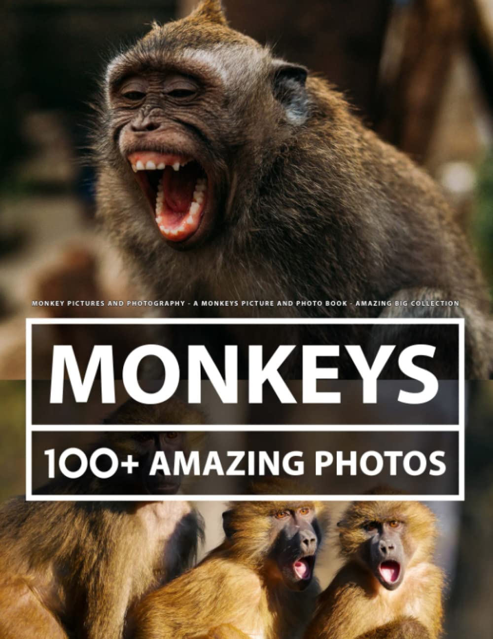 Monkey Pictures and Photography - A Monkeys Picture and Photo Book - Amazing Big Collection: 100+ Amazing Pictures of Monkeys in this Beautiful Monkey photo book
