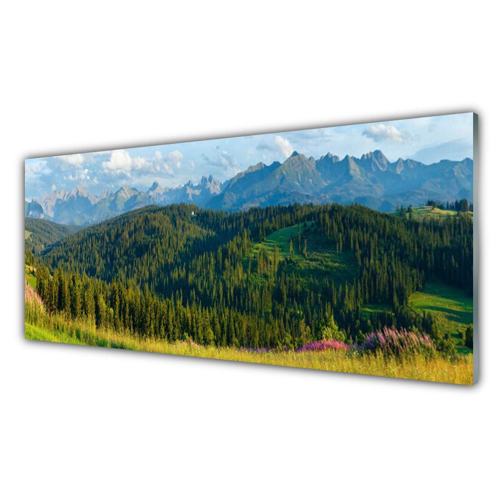 Impression sur Verre Acrylique Tulup de Haute Qualité | Design Déco Premium
