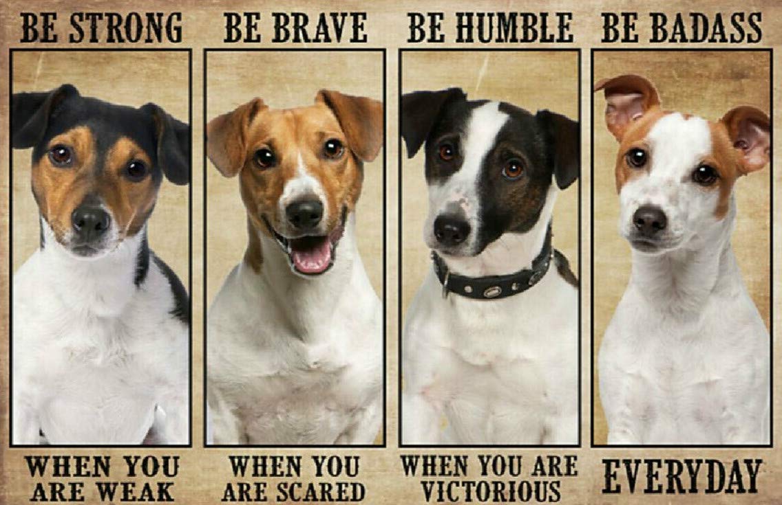 Kueprae A371 Jack Russell Dog Be Strong Be Brave Be Humble Be Badass Metal Sign 8X12 Inch