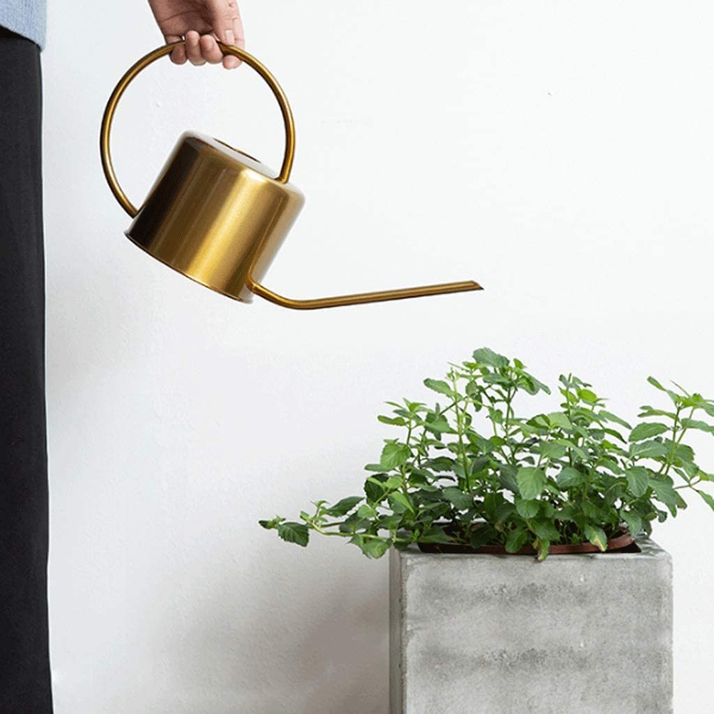 Regadera, Decorativa Moderna Regadera De Jardín Acero Inoxidable 1.3L Pequeña con Mango for Plantar Flores Latas de Riego