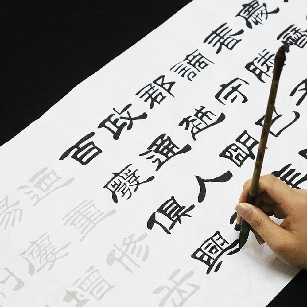 No Ink Chinese Calligraphy Set, Brush Practice Copybook Rice Paper Adults Beginner Liu Bingsen Script