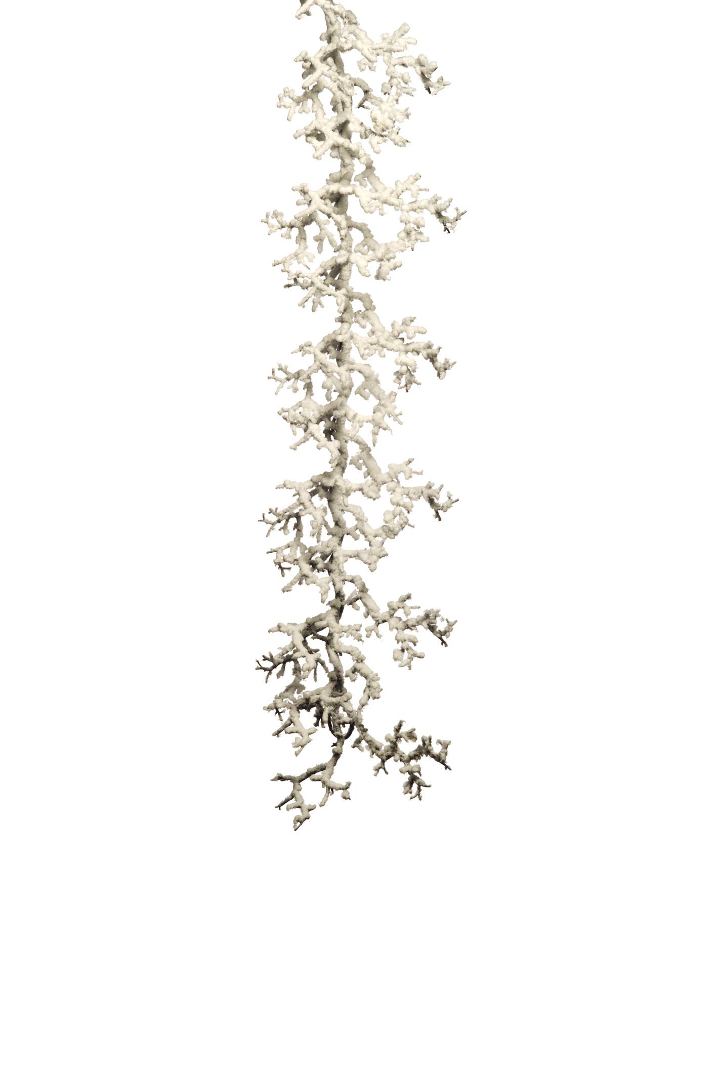 Express Flor -6 x Artificial Snowy Branch Garland