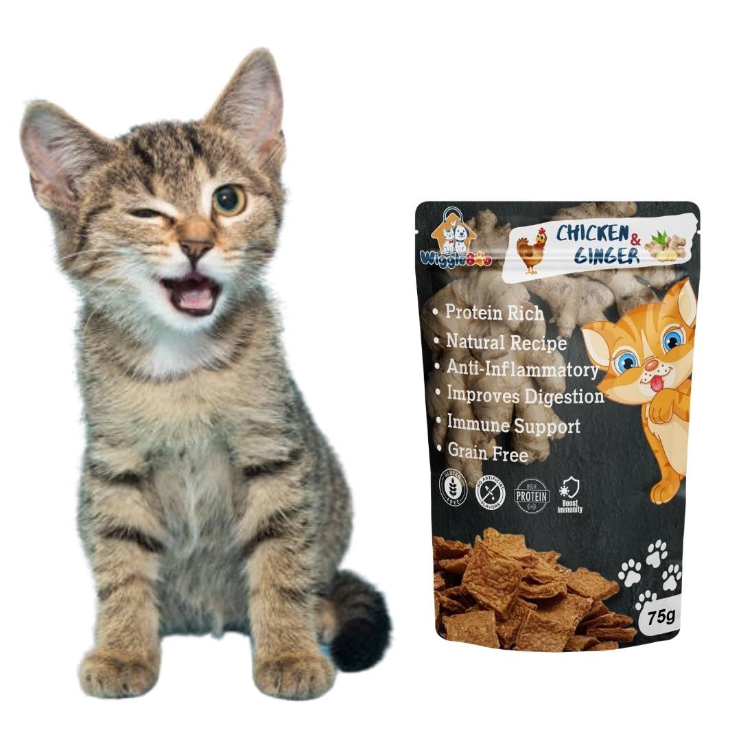 WiggleBoo Chicken & Ginger Cat Treat | Protein Rich | Anti-Inflammatory | Crunchy Healthy Snacks | 75g (B0BB6PYWLR) Amazon Price History, Amazon Price Tracker