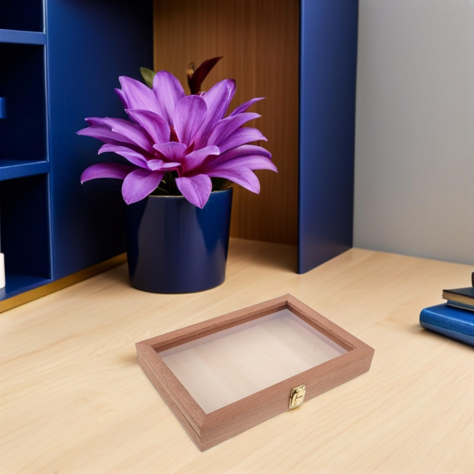 Abaodam Rechteckige Schmuckkästchen mit Transparentem Deckel Rustikale Vitrine für Zuhause Platzsparender Organizer für Schmuck und Dekoration
