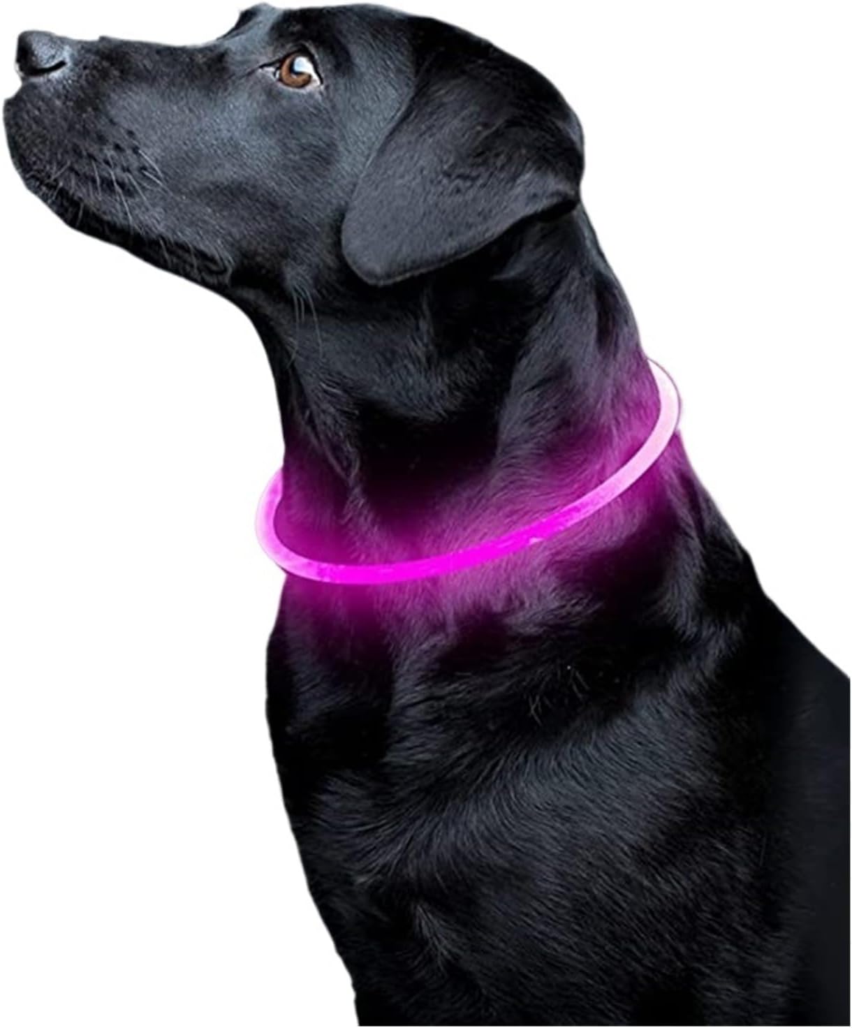 LED Luminous Dog Collar Light - USB Rechargeable Flashing Necklace for Dogs and Cats(Pink,Maximum Size 70cm)