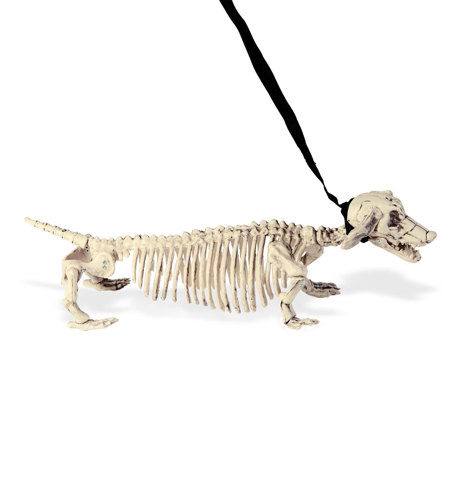 Widmann ? Dachshund Dog Lead Leash with Skeleton Unisex-adult, White, 55 cm, vd-wdm07093