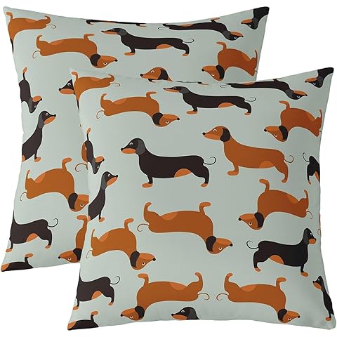 jejeloiu Boys Girls Brown Dachshund Comforter Cover Cute Dachshund Throw Pillow Covers Plump Dachshund Cushion Case of 2 Teens Bedroom Decor 18 x 18-Inch