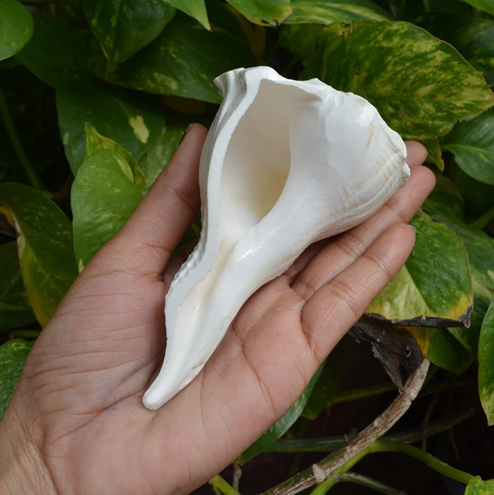 Shiva Lingam Shop 4.25