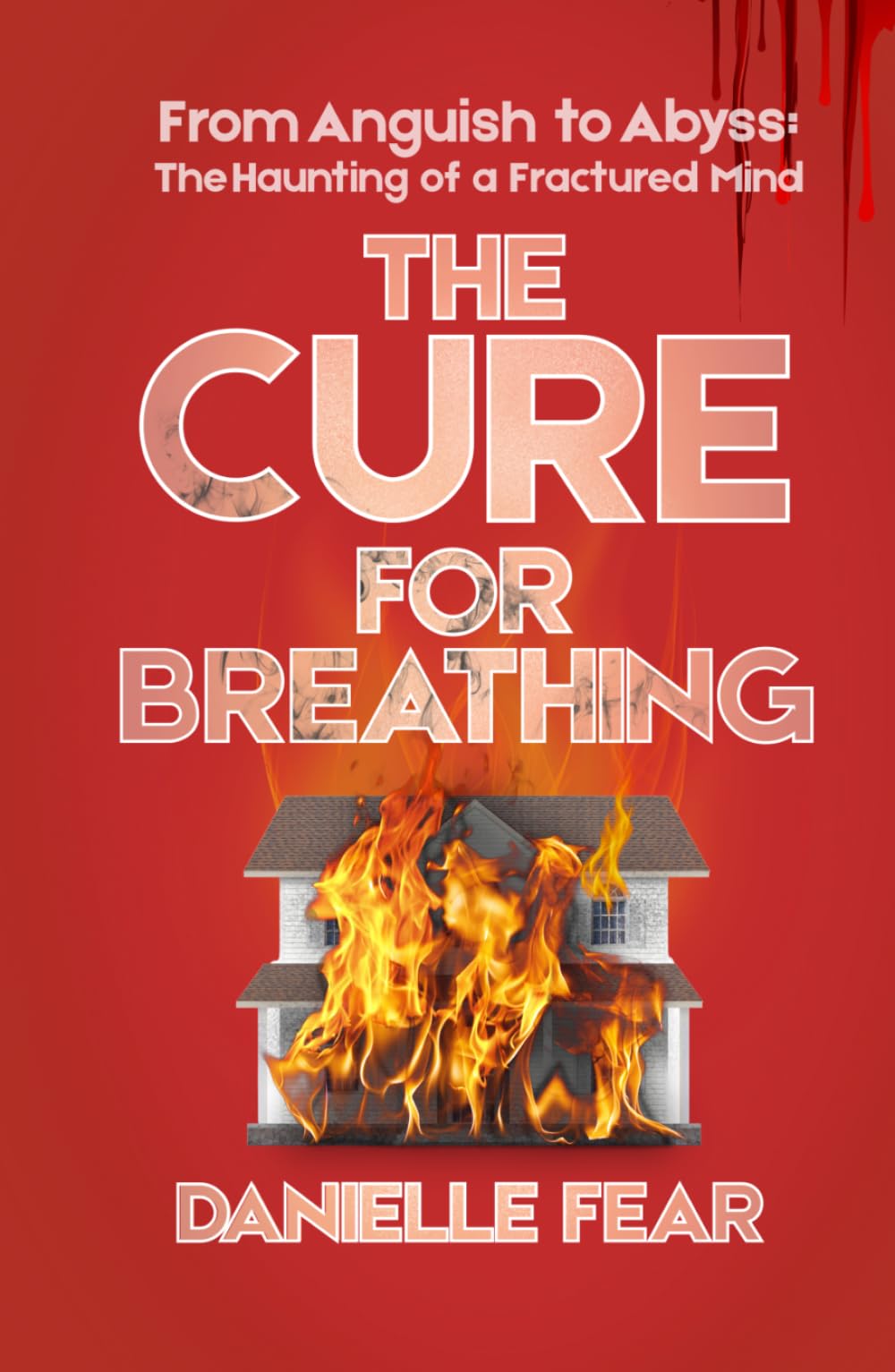 The Cure for Breathing: From Anguish to Abyss: The Haunting Journey of a Fractured Mind