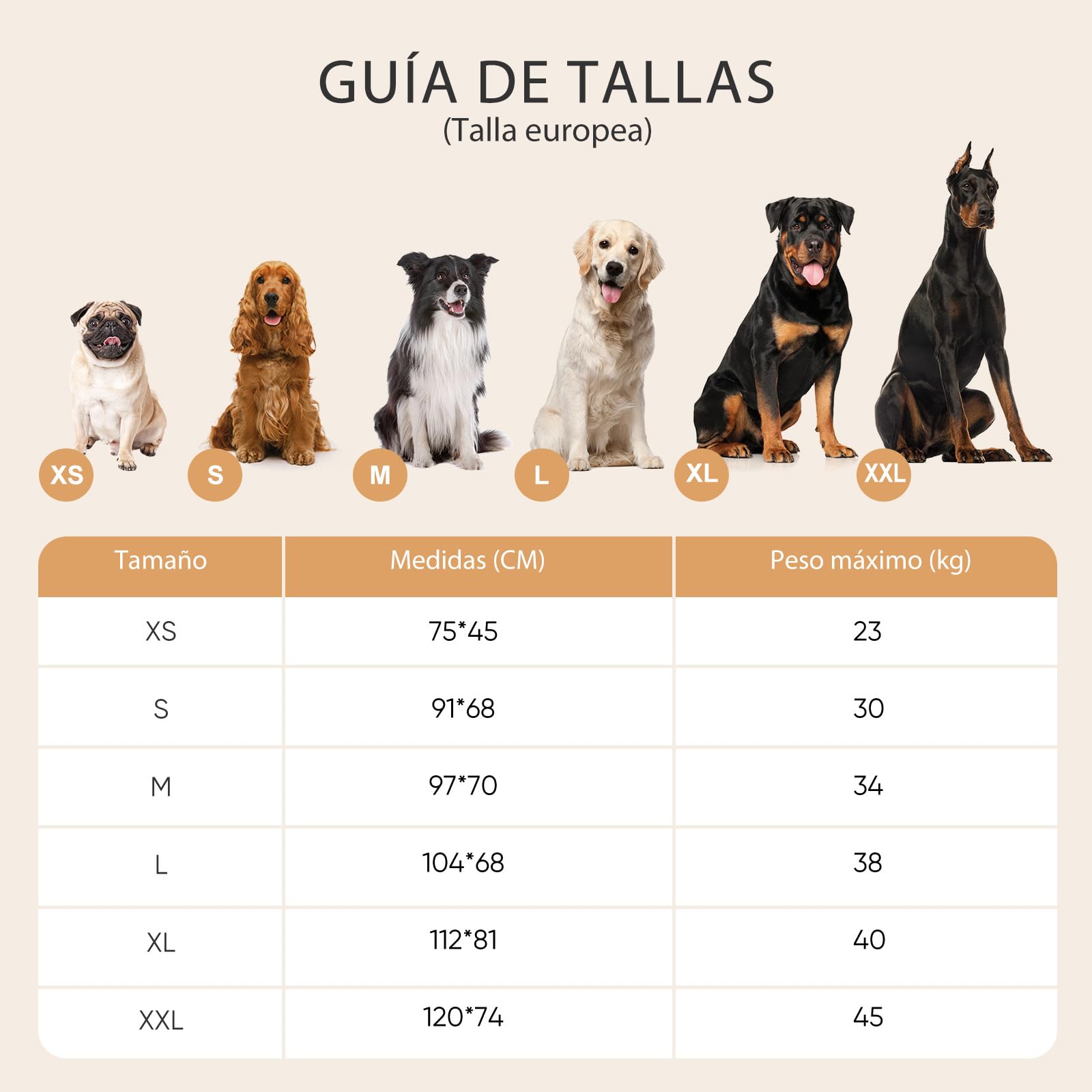 Cama Ortopédica para Perros Pequeños: Sofa para Perros con Funda Etraíble y Lavable - Tejido de Felpa Suave - Forro Impermeable y - Base Antideslizante Gris (75 x 50 x 17 cm) | Cama ortopédica desmontable de piel sintética, cojín lavable con forro imperme