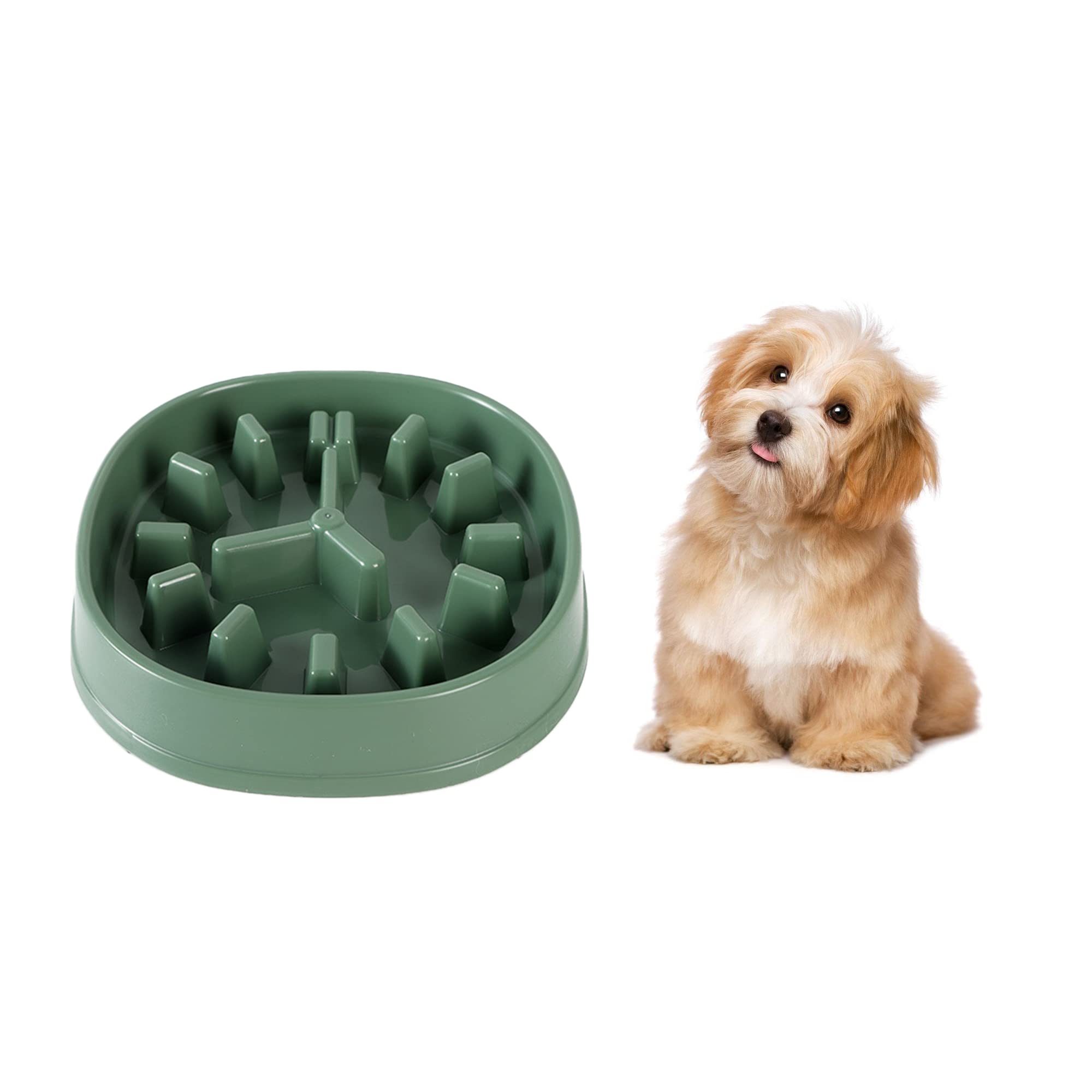 Slow Feeder Bowls Dog Bowl Clock Interactive Puzzle Bowls Slow Food Bloat Stop Extend Eating Time non Slip Slow Eating Dog Bowls (Forest Green)