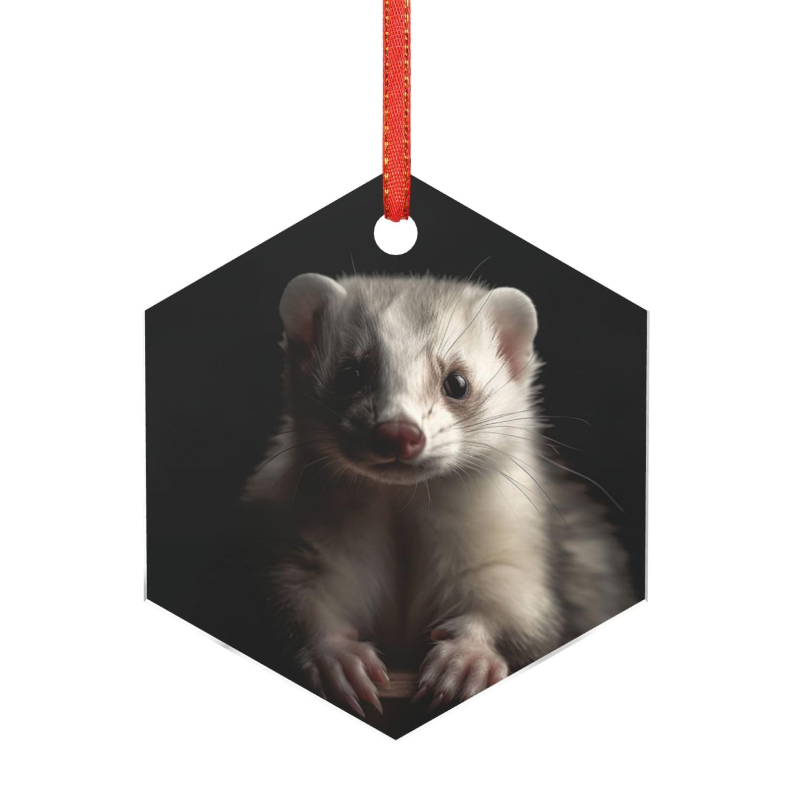 Acrylic Ornament Christmas Tree Decoration Clear Round Pendant with Red Ribbon Ferrets Christmas Ornaments Indoor Outdoor Hanging Acrylic Pendants for Xmas Party Decor