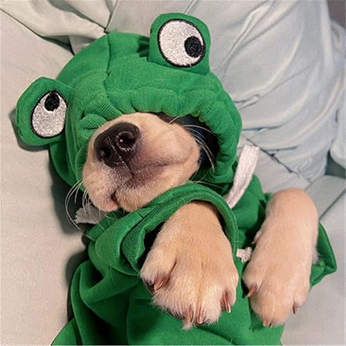 Miniatura 3 de Suéter para perro, sudadera con capucha para perro, suéter de gato, disfraz de gato, disfraz de rana con forma de rana, ropa de cosplay, abrigo,