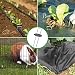 Wokkol Piquetas, Grapas para Jardin, Piquetas Camping, Malla Antihierbas 2.5 mm de...