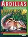 Ardillas (El Nuevo Libro De Las Ardillas) - Mettler, Michael