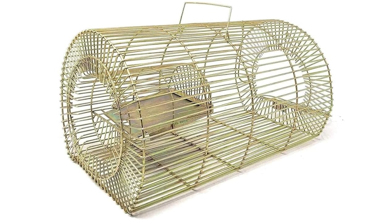 Star Mouse/Rat Trap for catching Small & Large Size Rats, Chuha Pinjara, Iron cage, Rat cage, Rat tra cage for use in House, Warehouses, Food Units, Hotel etc (Big Trap)-image-22