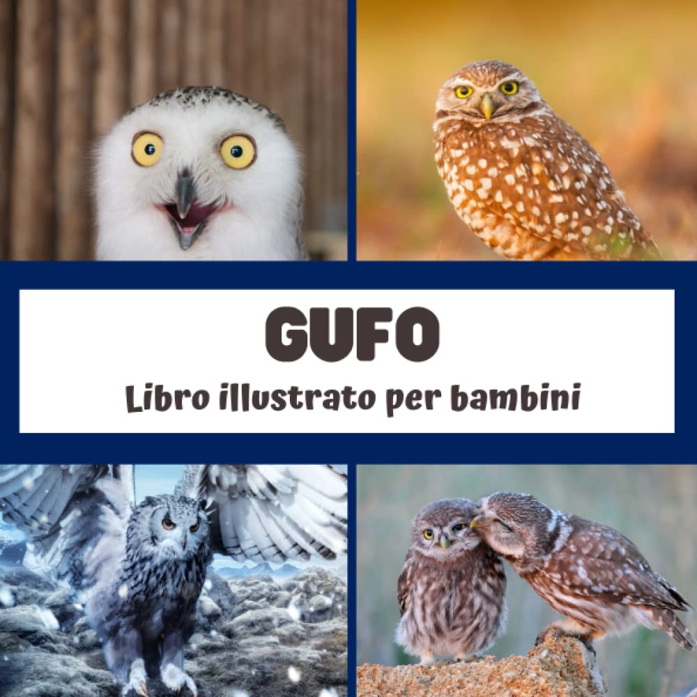 Libro illustrato per bambini - Gufo: Gufo in immagini - Bambini da 2 a 5 anni (Italian Edition)