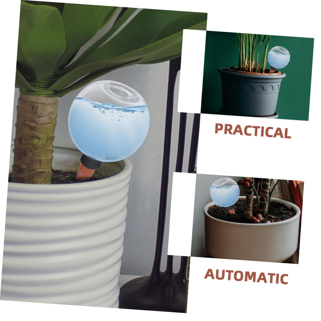BESPORTBLE 3 Ensembles Dispositif D'arrosage Automatique Ampoules À Arrosage Automatique Globes D'arrosage des Plantes Irrigation Bouteille D'arrosage pour Plantes Céramique 2 Pièces * 3