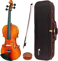 Violino Eagle 4/4 VE245 Verniz Acetinado