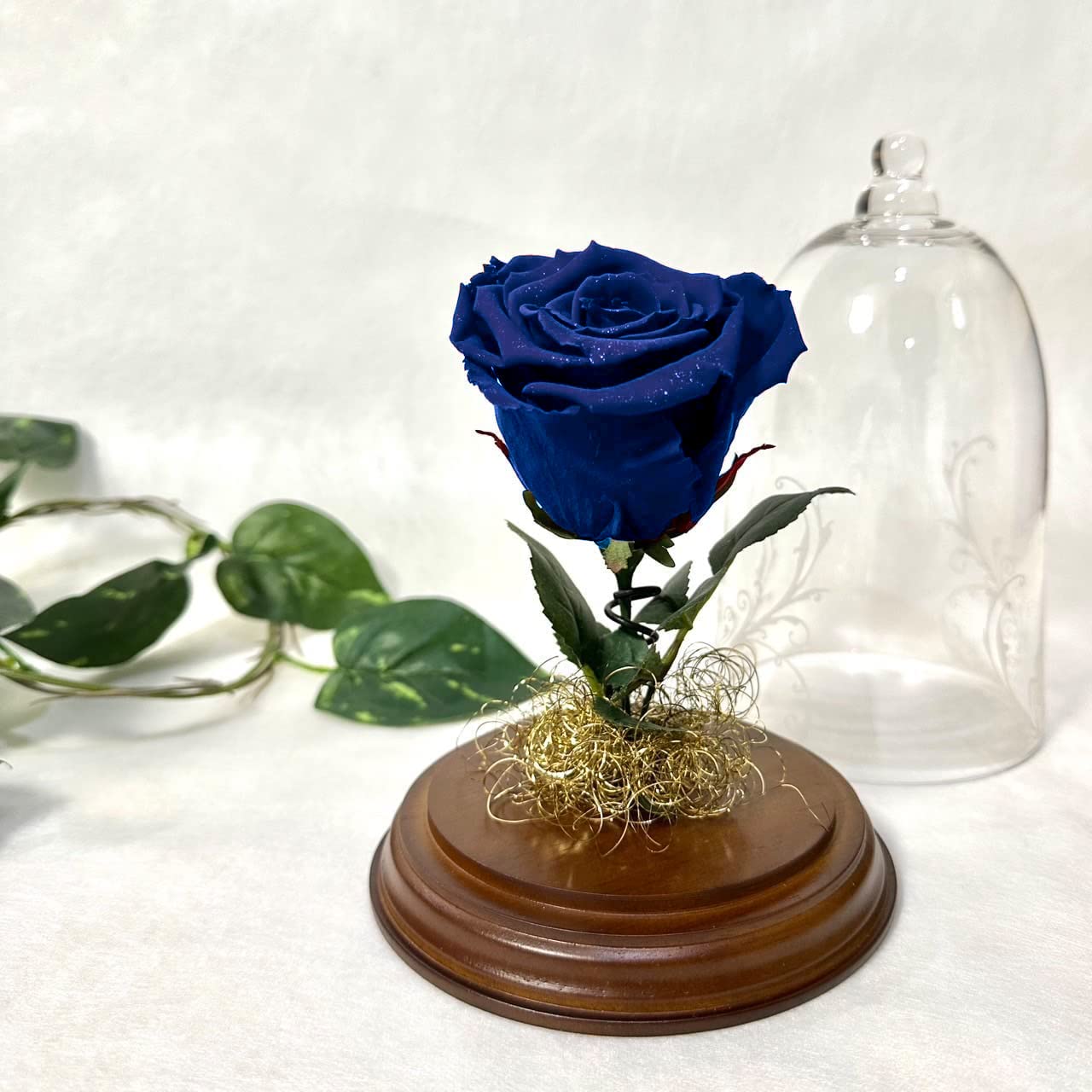 Amazon｜Lulu's ルルズ ダイヤモンドローズ ガラスドーム エクセレント