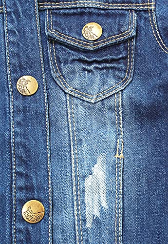 Image of KIDSCOOL SPACE Little Girl Jean Jacket,Flower Embroidered Denim Outfits