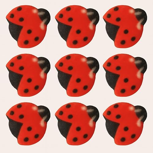 Oasis Supply Decoración comestible de mariquita de azúcar – Juego de 12 piezas – Decoraciones pintadas a mano en rojo y negro para pasteles,