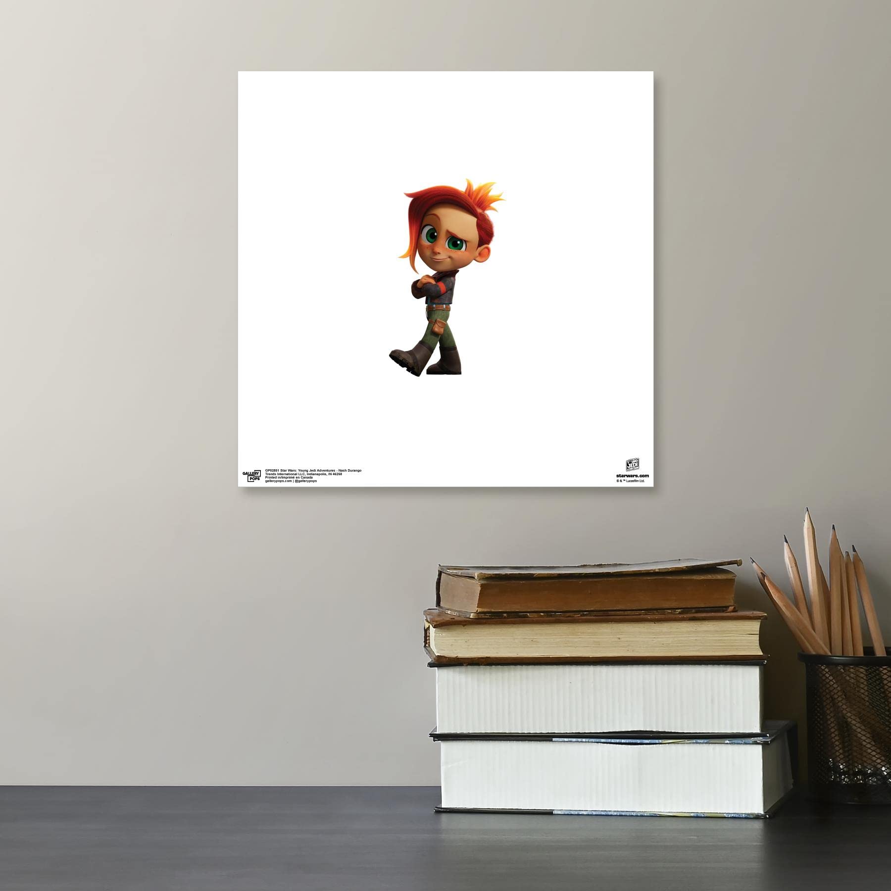 Amazon.com: Trends International Gallery Pops Star Wars: Young