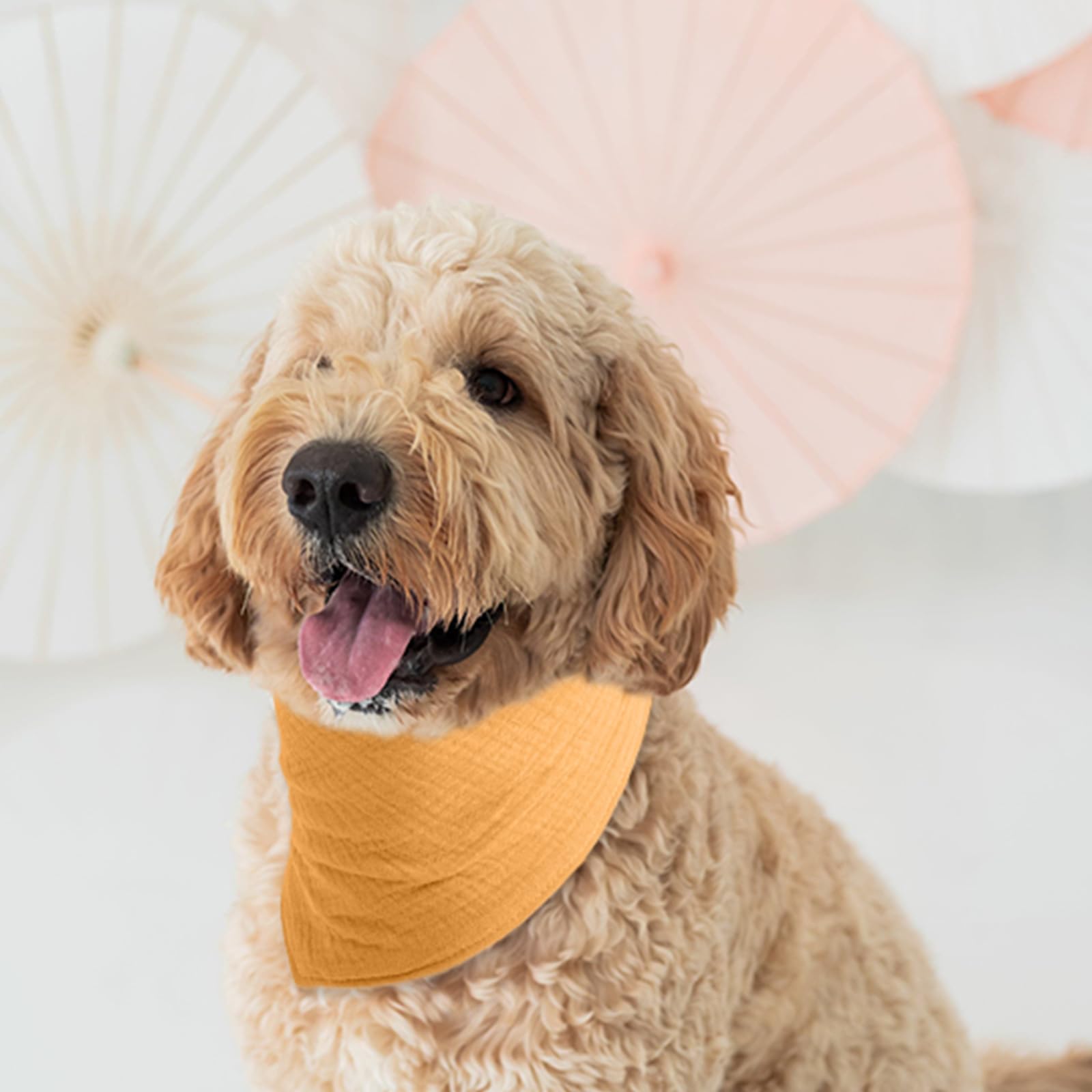 ICEMOOD Dog Solid Color Scarf - Puppy Cotton Bandana with Adjustable Button Fastening, Mid Yellow, Medium, 5lbs - 30lbs - Image 4