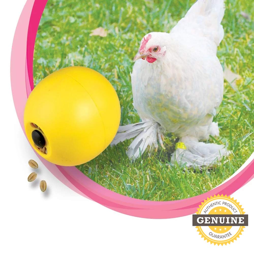 Savic Bird Food Feeder Ball Chicken Toy – Interactive Chicken Treat Dispenser Easy to Fill, Fun Feeding Ball for Birds & Poultry Encourages Pecking & Foraging Behavior