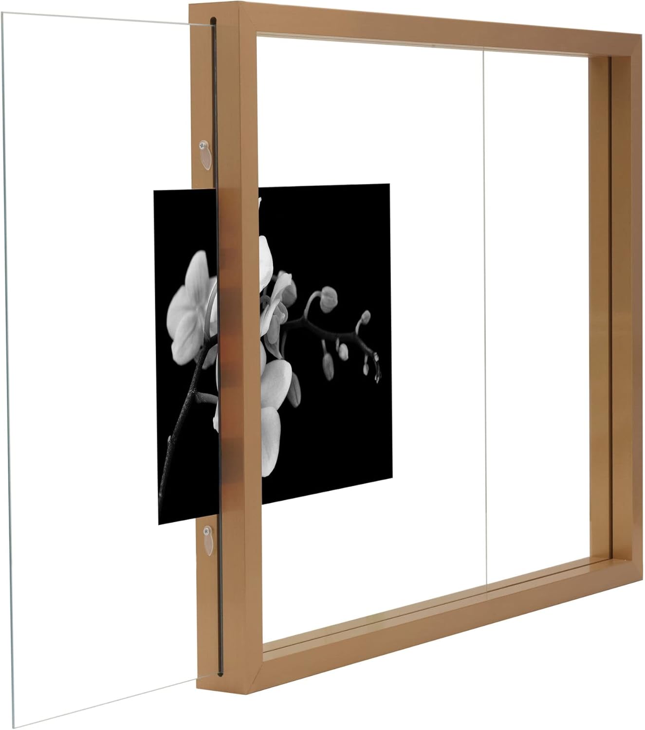 Mikasa Floating Portrait Frame, 17x21 Inch frame to display one 8x10 photo, Vertical or Horizontal Display, MDF, Champagne