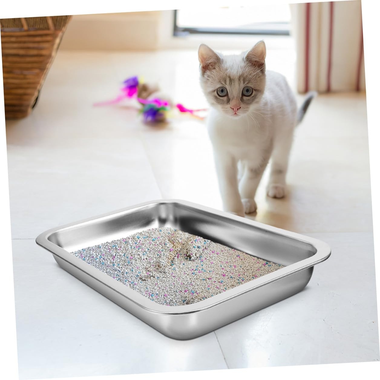 Luxshiny Lettiera per Gatti in Acciaio Inox 304 Aperta, Grande Capacità 2 Pezzi, Toilette per Gattini Resistente senza Perforazioni, per Uso Domestico e Viaggi