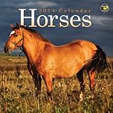 2014 Horses Mini Calendar