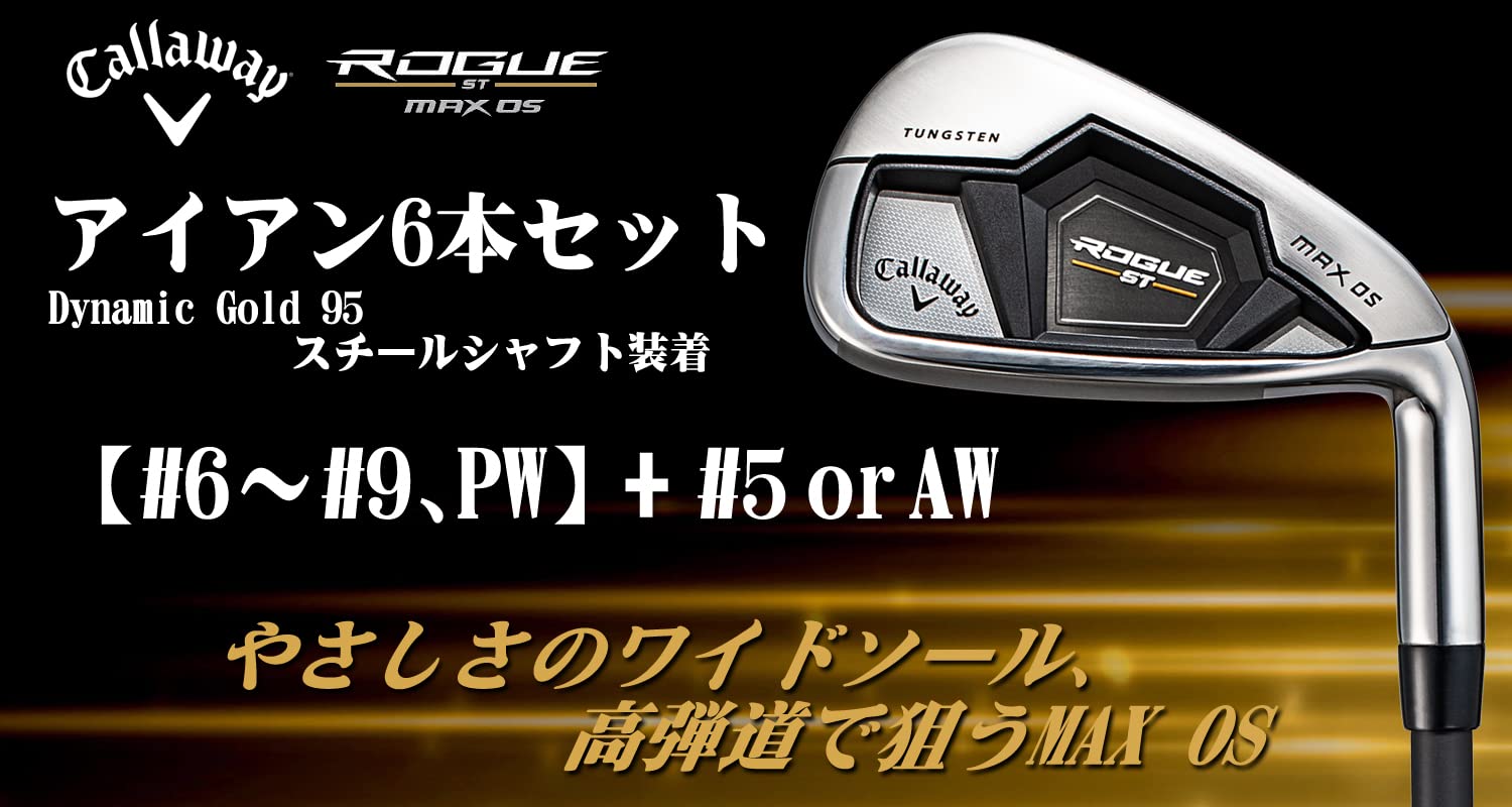 Amazon.co.jp: キャロウェイ ROGUE(ローグ) ST MAX DG95 アイアン 6本 