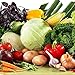 Seeds Welsh Onion Pyero - Pierrot Organically Grown Russian Heirloom Vegetable