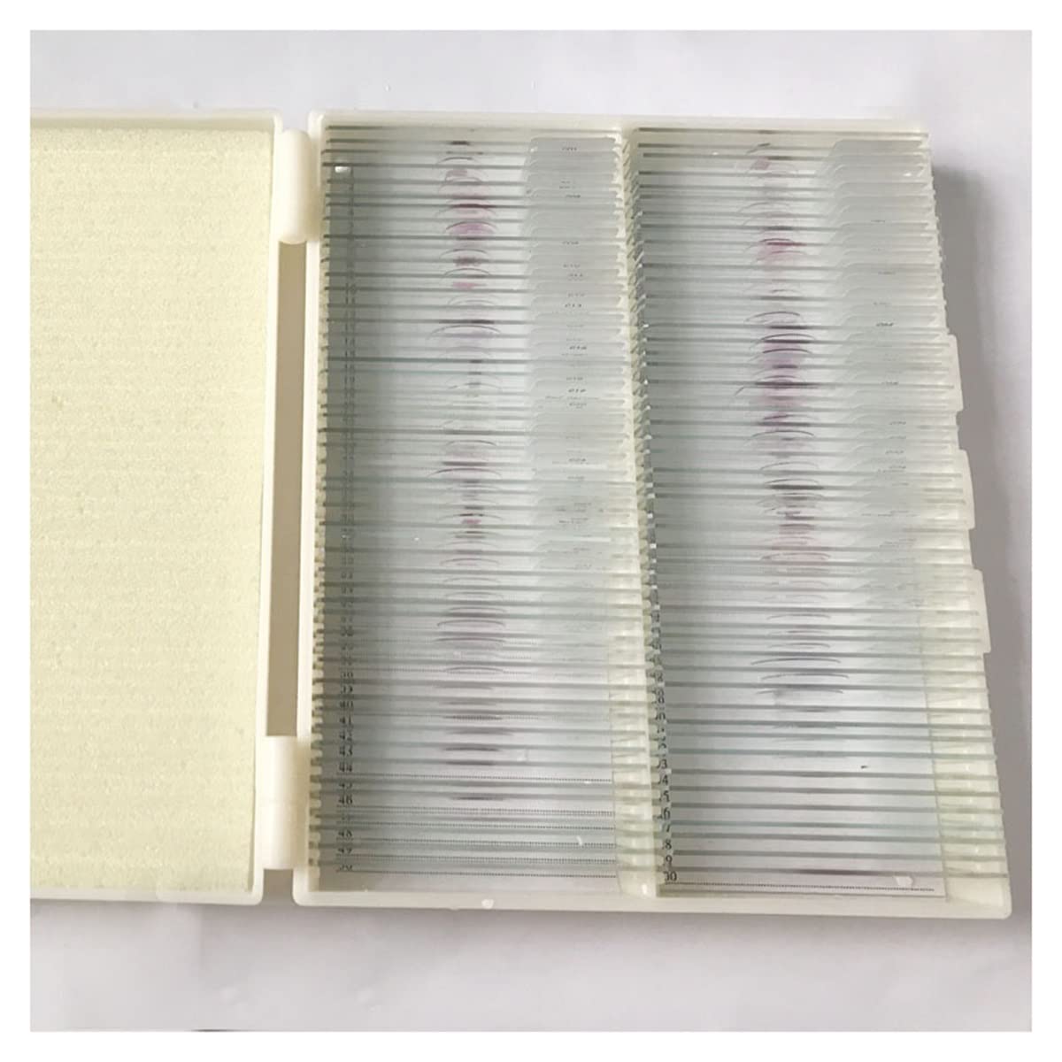 Kit de Accesorios para microscopios PS100 Conjunto de Diapositivas de microscopio Preparado, Diapositivas de histología Portaobjetos de microscopio