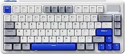 Rapoo V700DIY-75 Teclado Mecánico Inalámbrico Gaming, BT5.0/2.4GHz/Cableado, Personalizado Hot-Swappable, Interruptor Lineal Speed Silver, 16.8M RGB por Tecla, Montaje Gasket, Anti-Ghosting NKRO