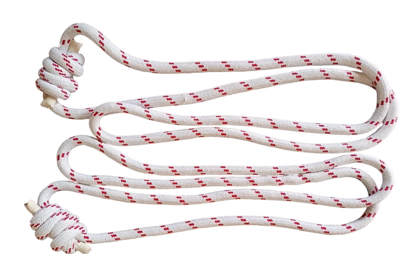 Iyenger yoga wall rope(1 pair) Small, Wall ropes (B0B9WY817B) Amazon Price History, Amazon Price Tracker
