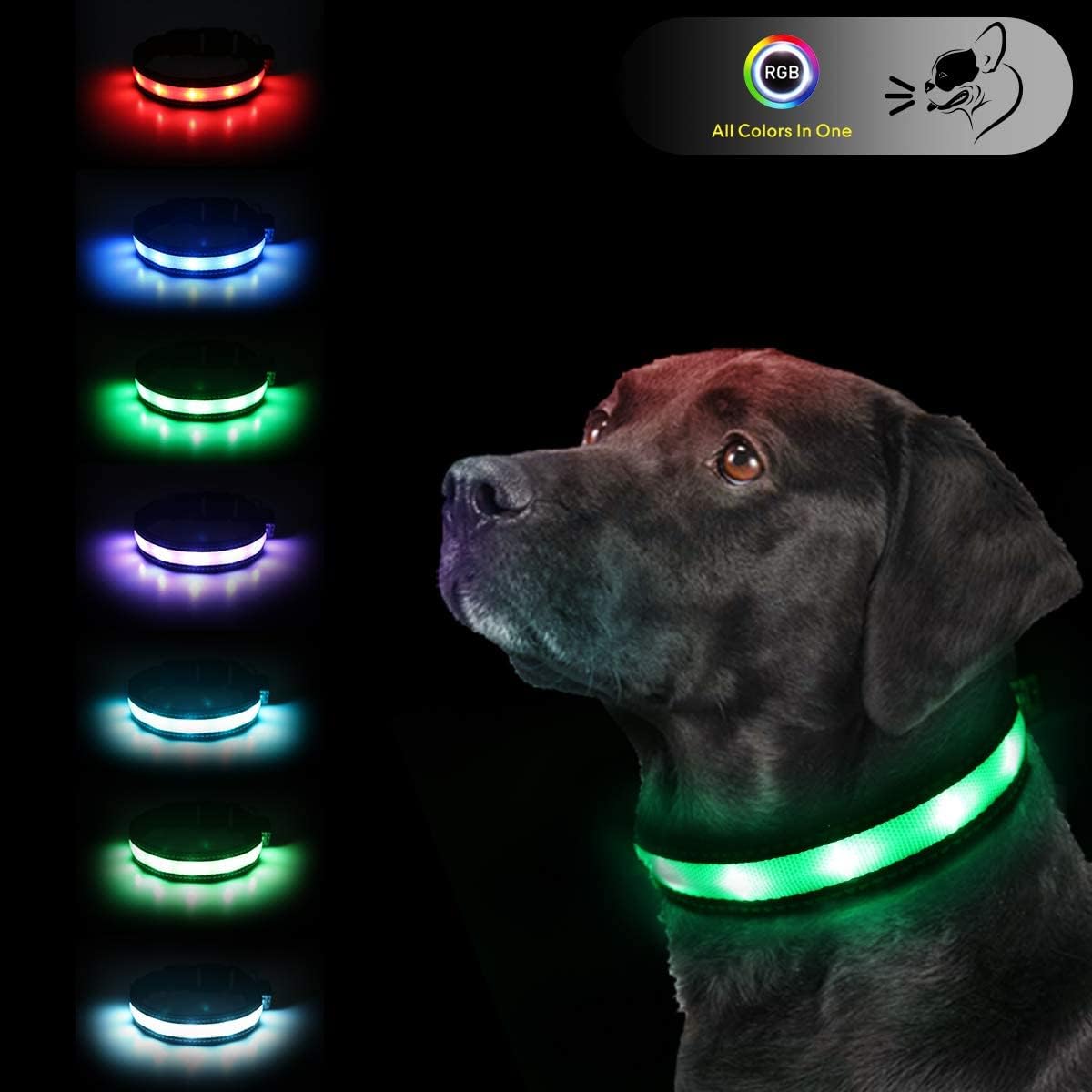 LED Dog Collar and Leash Set, 6FT USB Rechargeable 7 Color Changing, Medium (16.5"-20.5")