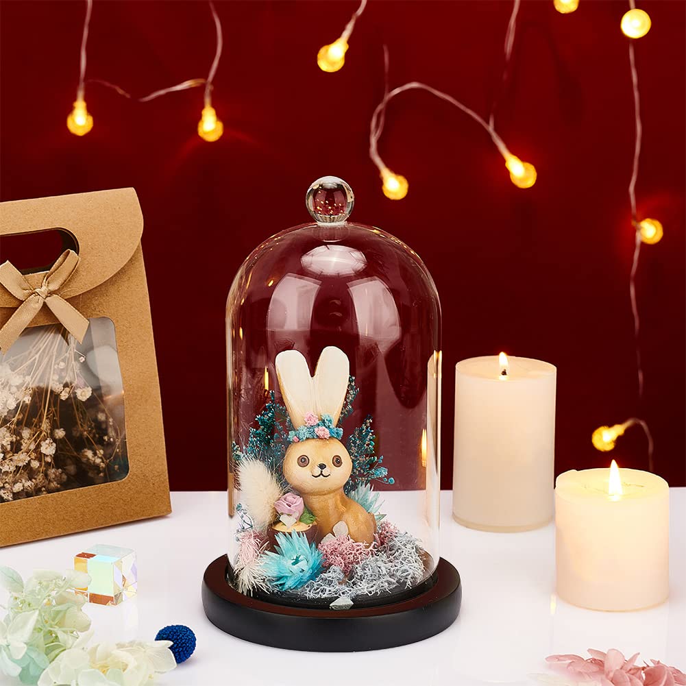 PH PandaHall Vitrina de cristal con base de madera, botellas de decoración de vidrio para plantas, exhibición de flores, arcilla, suculentas, almacenamiento, hogar, decoración, 4.3x7.2 pulgadas
