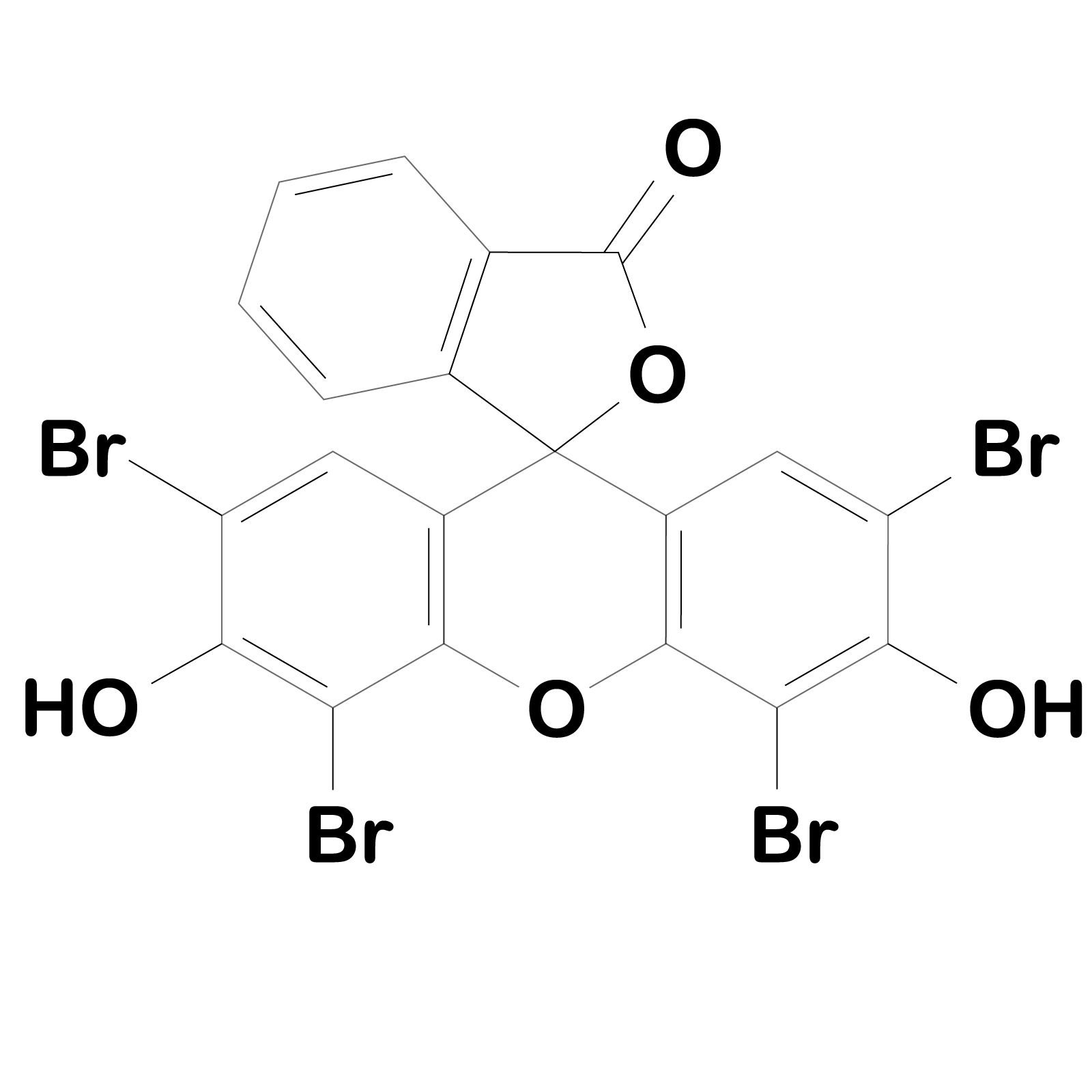 Euromex – Coloration à l’éosine Y de 25 ml pour la microscopie