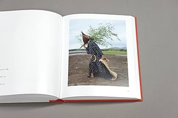 YOKAI NO SHIMA (ヨウカイノシマ) | シャルル・フレジェ |本