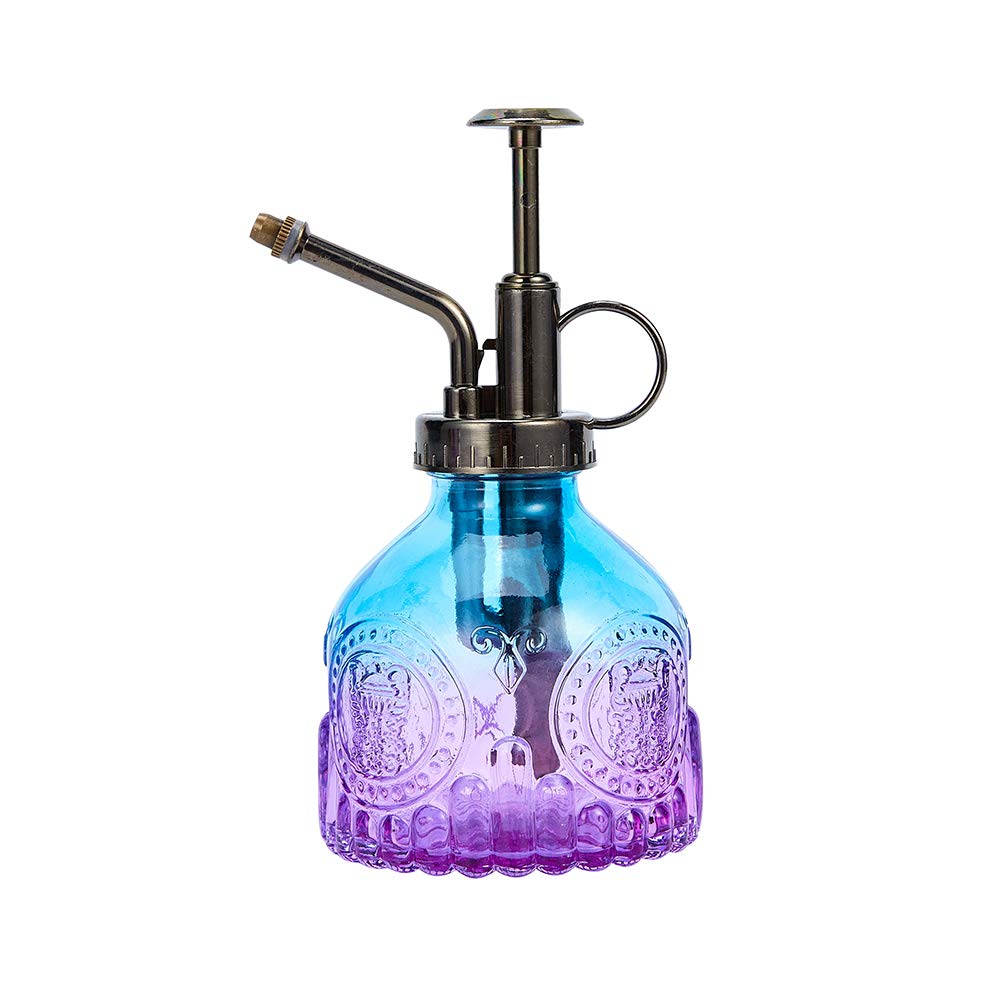 Ebristar Glass Plant Mister Spray Bottle, Vintage Plant Spritzer, Succulent Watering Bottle with Top Pump, Small Plant Sprayer Mister Watering Can for