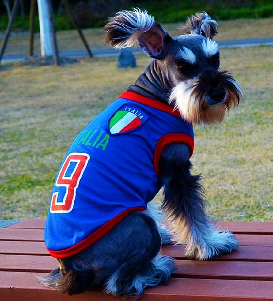 Vestito tifoso - Microbista - squadra calcio - ITALIA - Ultra - XL - cane - Idea Regalo originale