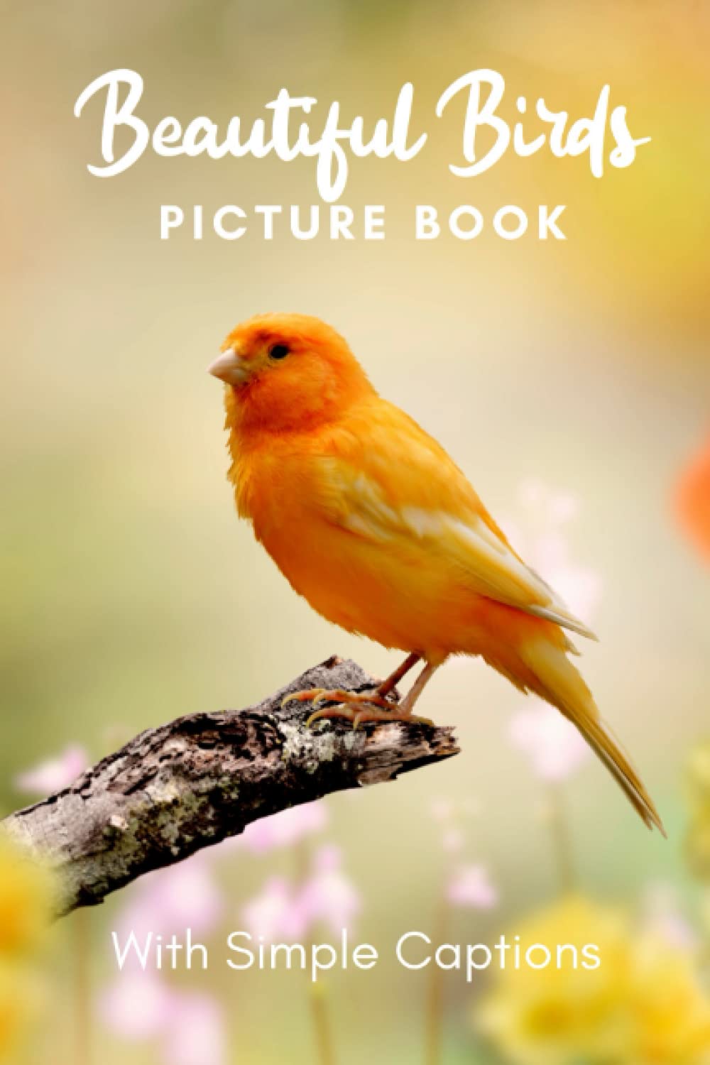 Picture Book of Beautiful Birds: Book gift for dementia patients and seniors living with Alzheimer’s disease. Large print for adults with simple captions. (Picture Book for Dementia Patients)