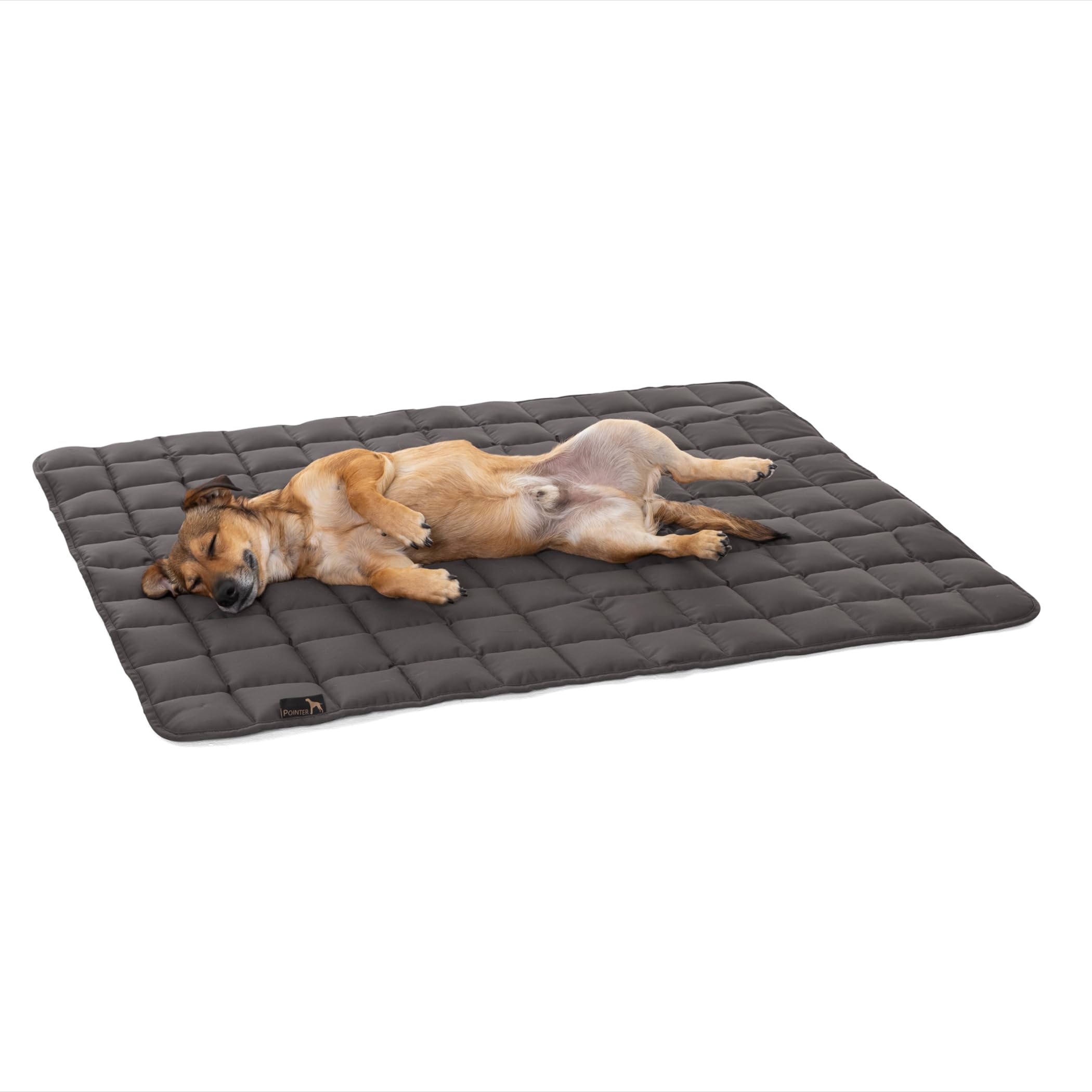 Pointer | Hundedecke 130 x 110 cm, Gepolstert & Strapazierfähig - Hundematte Waschbar bis 95°C, Liegedecke für Boden oder Sofaschutz - Outdoor geeignet (XL - 130x110 cm, Grau)