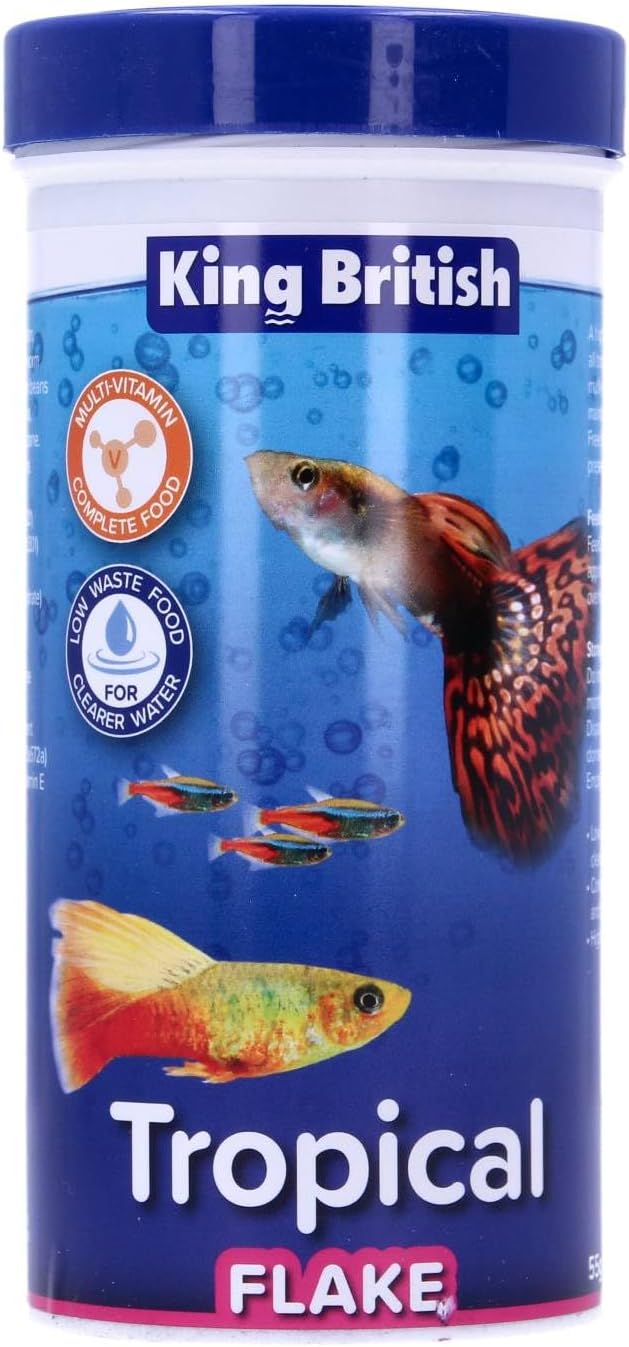 King British | Tropical Fish Flake With Immuno Health Booster | Complete Food for Tropical Fish | Helps Prevent Infection and Disease | High Protein Content | Includes Essential Vitamins | 55g