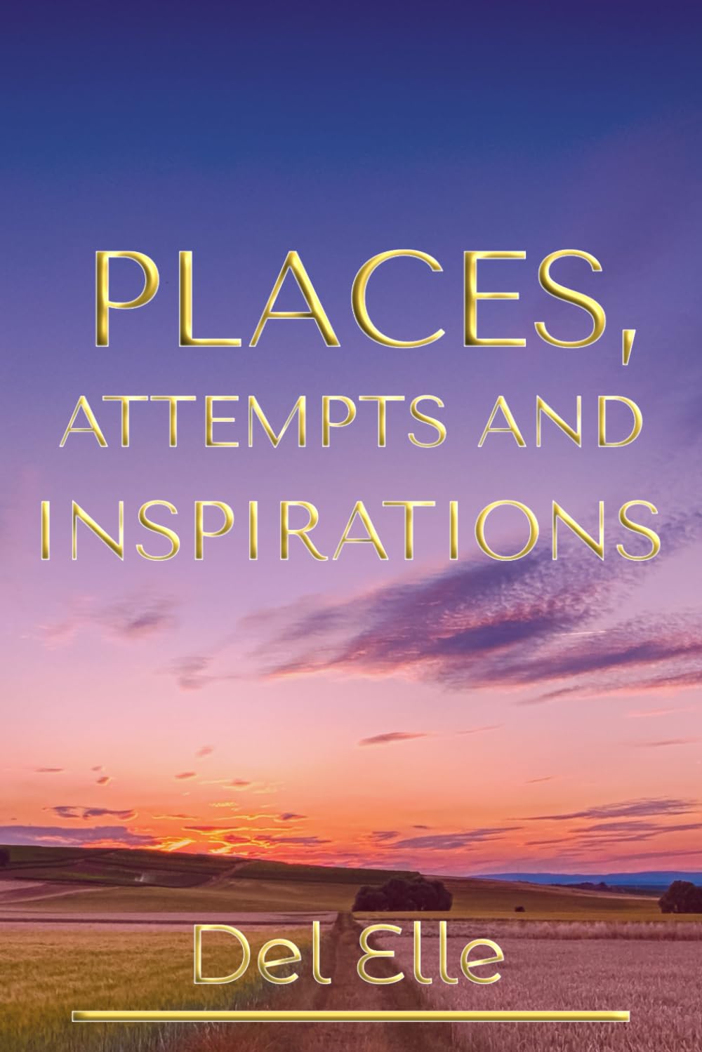 Places, Attempts and Inspirations (The Poetry Collections)