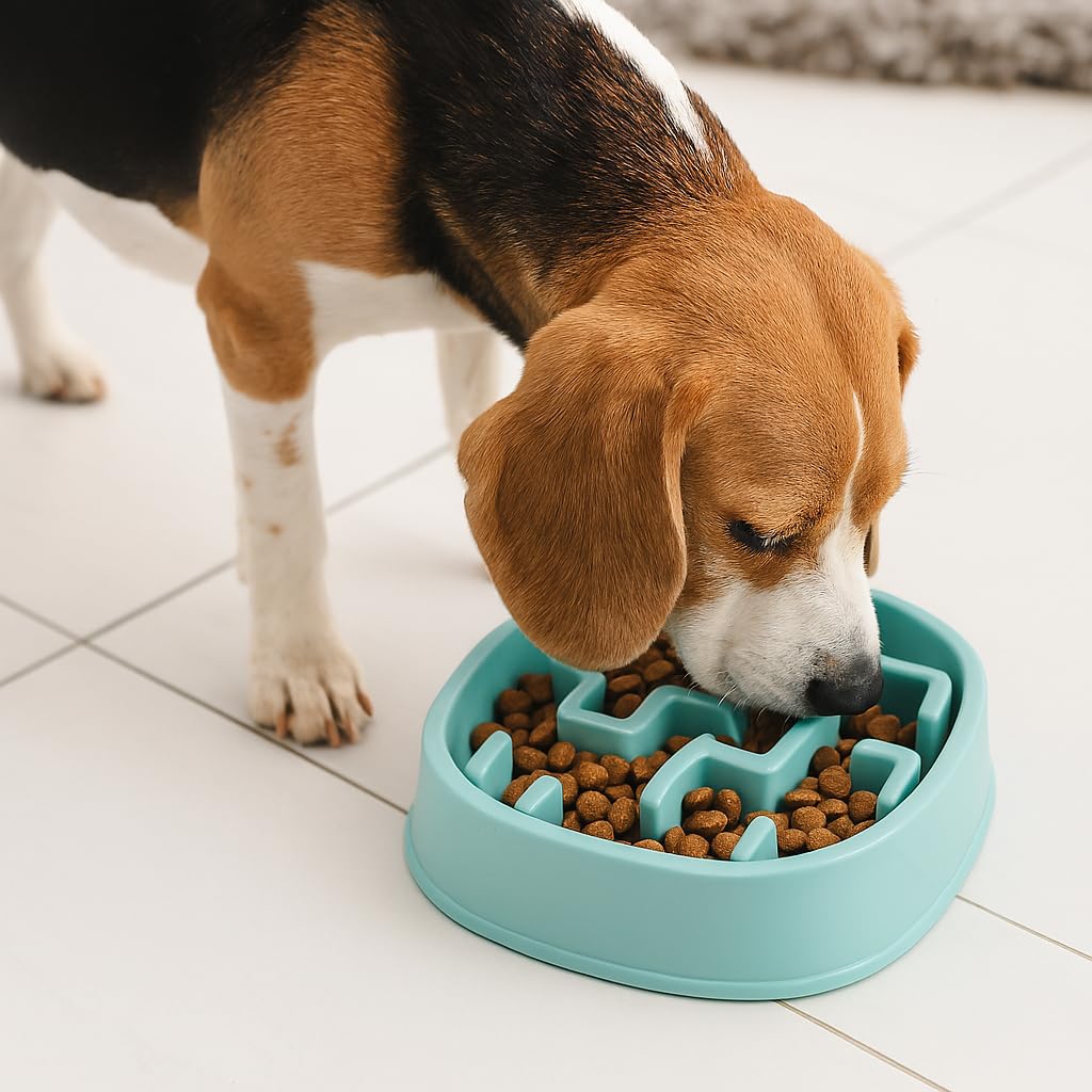 Slow Feeder Bowl, Puzzle Maze for Fast Eaters, Small to Medium Dogs, Helps Prevent Bloat & Aid Digestion, Holds 2 Cups Wet or Dry Food, Non-Slip, Made Without BPA, Blue